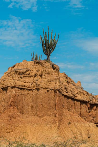 Huila al Límite